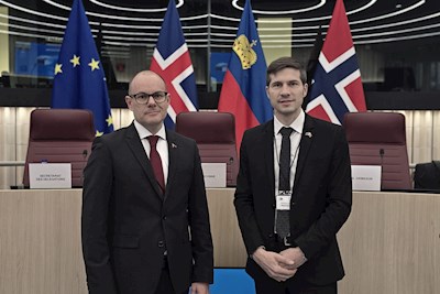 eftaewr-treffen-2025-strassburg-landtag-liechtenstein.jpg