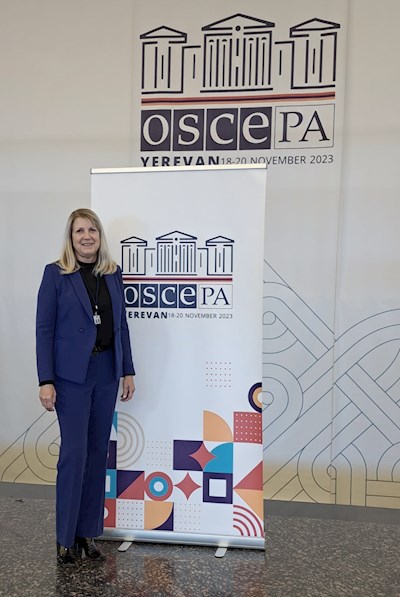 OSZE-PV-NHeidegger.jpg
